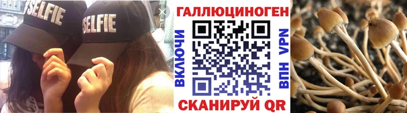 Псилоцибиновые грибы прущие грибы Луга