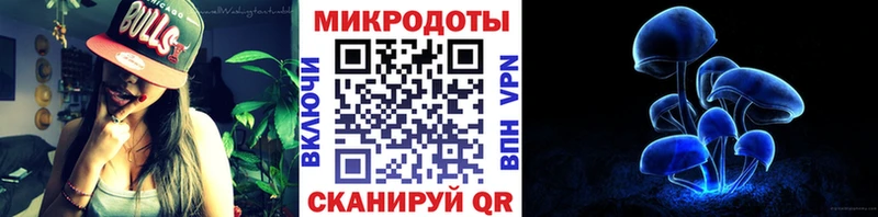 Псилоцибиновые грибы мицелий  hydra   Луга 